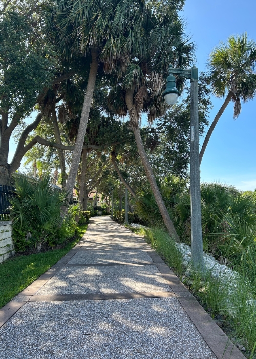 Villas at Mangrove Bay's Walking path lined with palm trees and lamp post